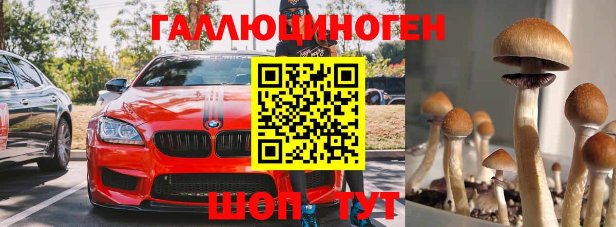 Нефтеюганск  Псилоцибиновые грибы Psilocybine cubensis  Вход с VPN 